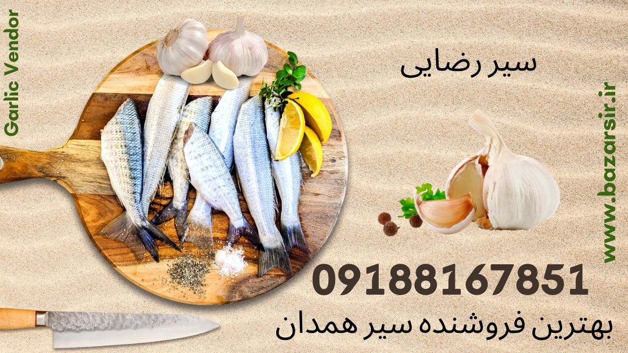 دسترسی مستقیم و بدون واسطه به سیر  همدان  مرکز فروش سیر همدان و ارسال سیر به سراسر ایران فروش مستقیم سیر صادراتی