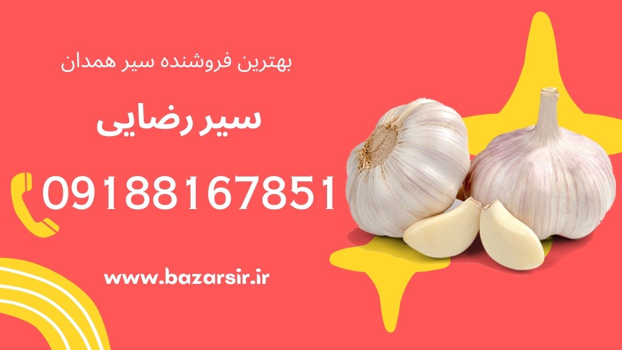 دسترسی مستقیم و بدون واسطه به سیر  همدان  مرکز فروش سیر همدان و ارسال سیر به سراسر ایران فروش مستقیم سیر صادراتی