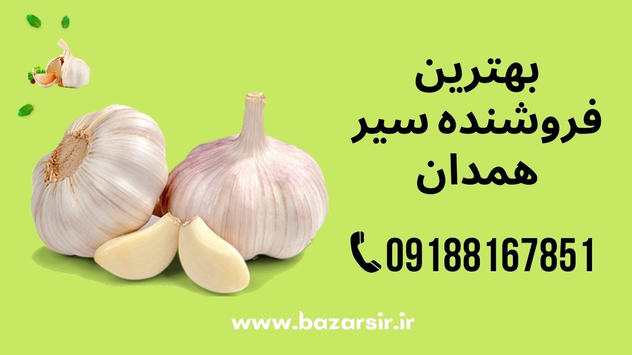 دسترسی مستقیم و بدون واسطه به سیر  همدان  مرکز فروش سیر همدان و ارسال سیر به سراسر ایران فروش مستقیم سیر صادراتی