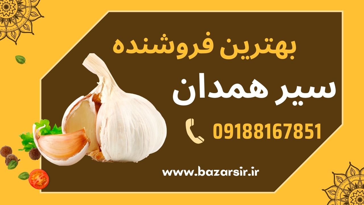 دسترسی مستقیم و بدون واسطه به سیر  همدان  مرکز فروش سیر همدان و ارسال سیر به سراسر ایران فروش مستقیم سیر صادراتی