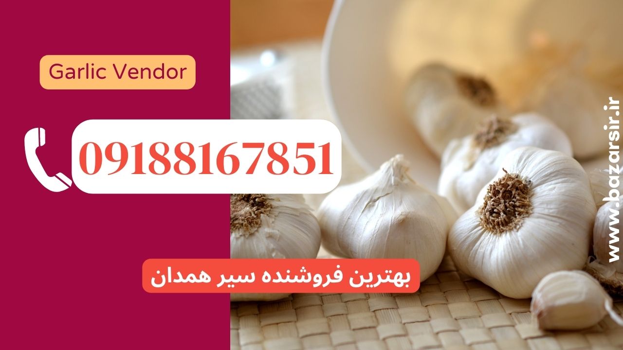 دسترسی مستقیم و بدون واسطه به سیر  همدان  مرکز فروش سیر همدان و ارسال سیر به سراسر ایران فروش مستقیم سیر صادراتی
